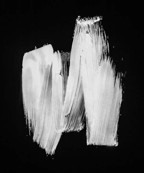 Морские водоросли